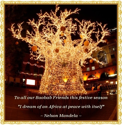 The Baobab Christmas Tree in Nelson Mandela Square