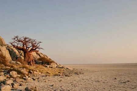 Kubu Island, Makgadikgadi Pan: where rock, salt and baobabs meet