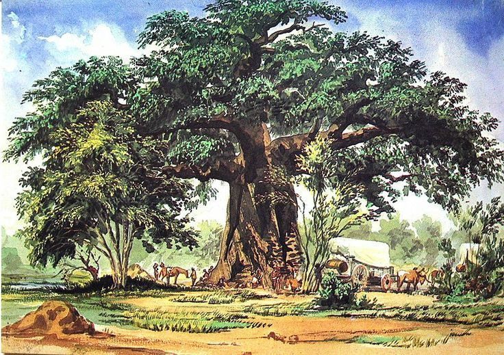 Baobab tree Thomas Baines